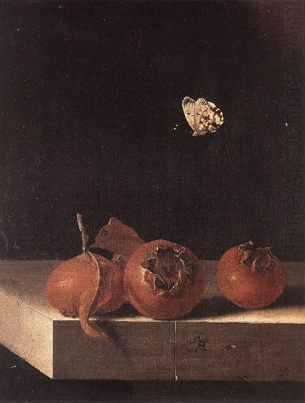 Three Medlars with a Butterfly zsdgf, COORTE, Adriaen